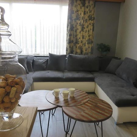 Lovely Guesthouse Lier Lint Екстер'єр фото
