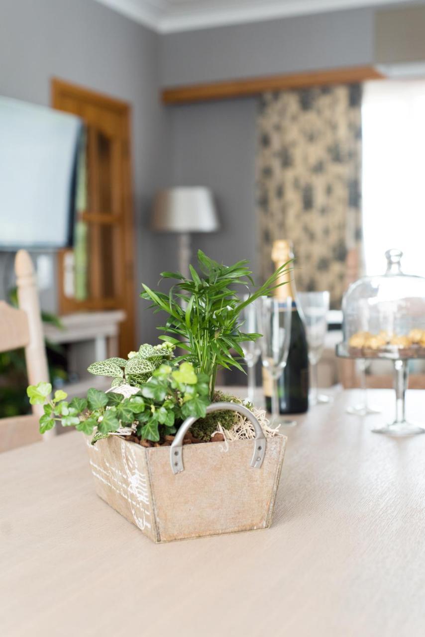 Lovely Guesthouse Lier Lint Екстер'єр фото